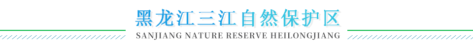 黑龙江三江国家级自然保护区