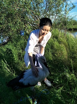 shidiwenhua3.jpg