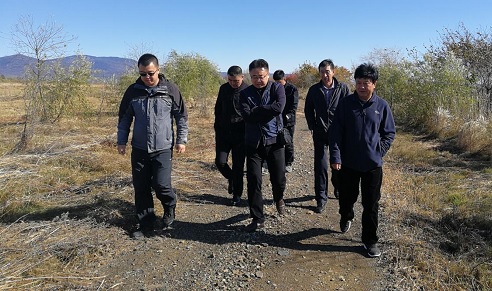 内3.jpg 内3.jpg