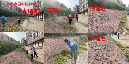 微信图片_3.png